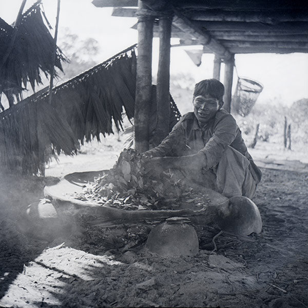 Vine Of The Soul Medicine Men Their Plants And Rituals