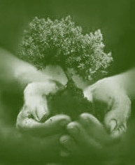 planting_tint