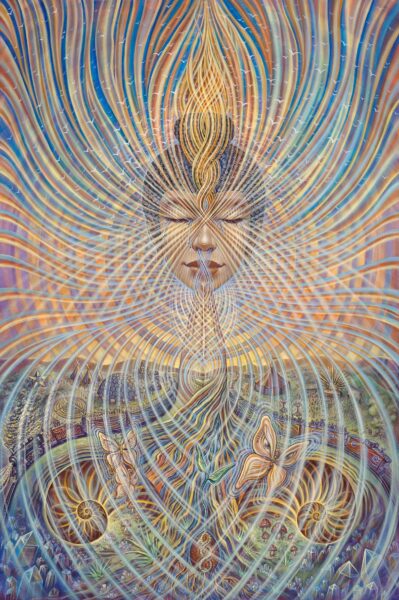 Regeneration, Amanda Sage, 2012