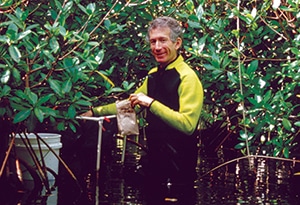 Mark Nelson in the wastewater treatment marsh of Biosphere 2