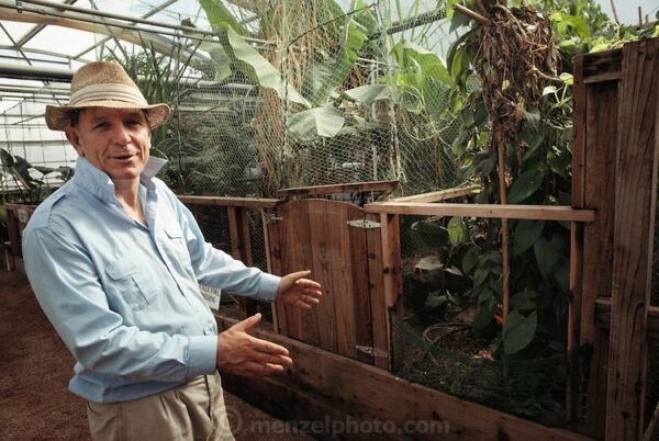 USA_SCI_BIOSPH_86_xs Biosphere 2 Project founder John Allen inside Biosphere 2 teat greenhouses and livestock areas. Biosphere 2 was a privately funded experiment, designed to investigate the way in which humans interact with a small self-sufficient ecological environment, and to look at possibilities for future planetary colonization. The $30 million Biosphere covers 2.5 acres near Tucson, Arizona, and was entirely self- contained. The eight ‘Biospherian’s’ shared their air- and water-tight world with 3,800 species of plant and animal life. The project had problems with oxygen levels and food supply, and has been criticized over its scientific validity. 1990