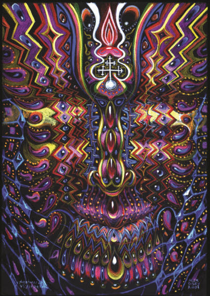 Ayahuasca Visitation by Alex Grey, in Ayahuasca Reader