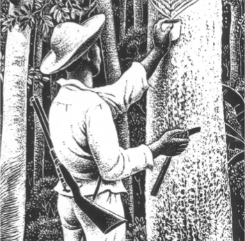 White Gold: the Diary of a Rubber Cutter in the Amazon 1896-1906